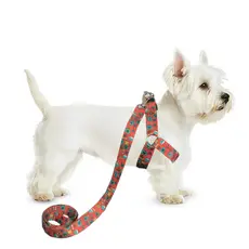 Conjunto Peitoral Com Guia De Seda Americano Para Cachorro Cão Porte Pequeno - Conforto E Estilo Pet