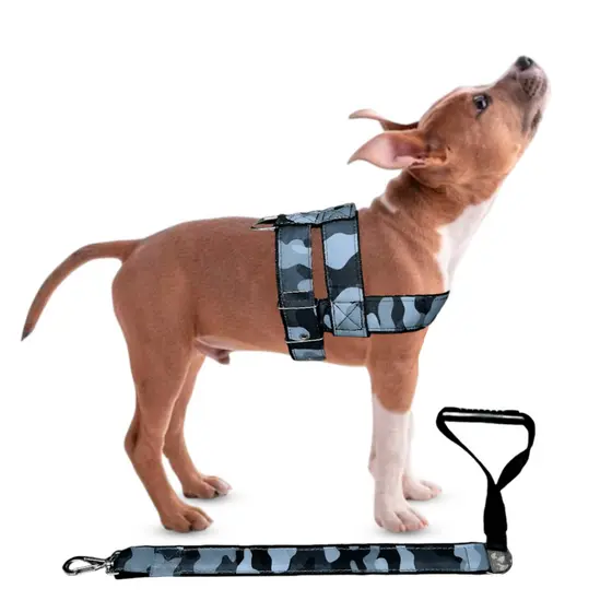 Conjunto Peitoral Com Guia Manopla Lona Luxo Camuflado Pet Para Cachorro Cão Grande Porte
