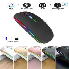 Mouse LED RGB Recarregável Sem Fio Com Clique Silencioso , 2.4 Ghz , Design Ergonômico Para Jogadores E Uso Em Escritóri