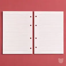 Refil Fichário Caderno Argolado 4 furos 50/100 Folhas A5 - Pautado Clássico