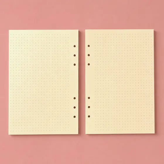 Refil Pólen A5 Fichário Caderno Argolado 6 furos 50/100 Folhas  Pontilhada