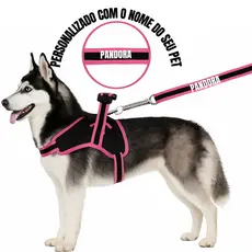 Coleira e Guia para cachorro nome personalizado Peitoral pequeno médio grande porte super resistente