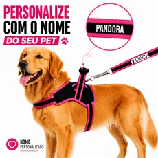 Coleira Para Cachorro Personalizada com Nome + Guia Anti Puxão Resistente