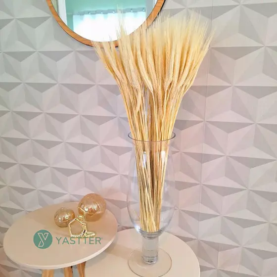 Trigo Seco Para Decoração 200 a 40 Hastes Arranjos Flores Desidratadas Vaso Decorativo, Lembrancinha