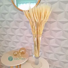 Trigo Seco Para Decoração 200 a 40 Hastes Arranjos Flores Desidratadas Vaso Decorativo, Lembrancinha
