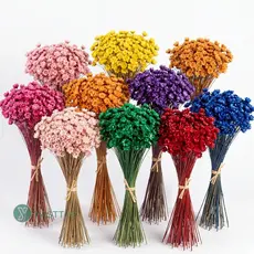 Flor Sempre Viva Premium 200 a 800 | Flores Desidratadas Para Decoração e Arranjos