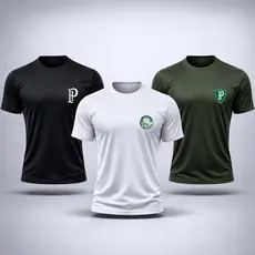 Kit 3 Camisas  Camiseta Masculinas da SEP VERDAO 2026 Torcedor Camiseta Futebol Treino Academia Confortável