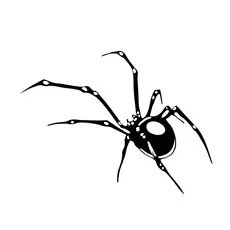 ADESIVO DA ARANHA - ORIGINAL - PARA MOTOS , TANQUE DE MOTO, CAPACETES