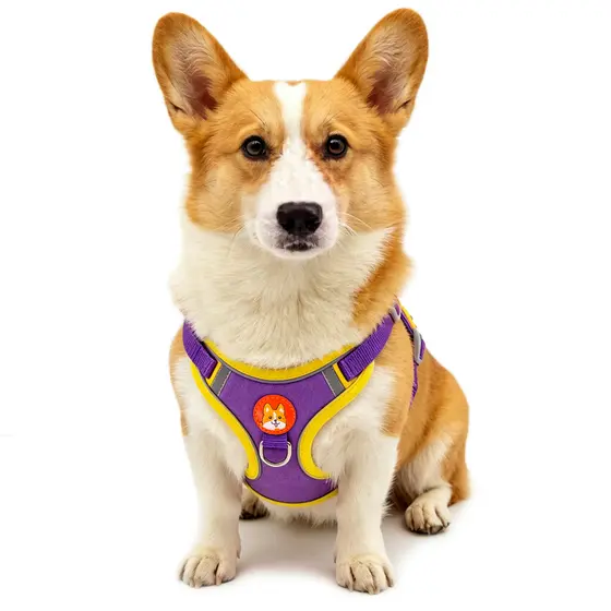 Coleira Peitoral Cachorro E Gato, Conjunto De Guia + Coleira Tipo Colete Para Pet Pequenos E Médios