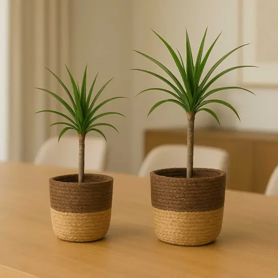 Cachepô Fibra Natural Rústico Redondo Para Plantas Decoração Reforço Interno Não Vaza Agua