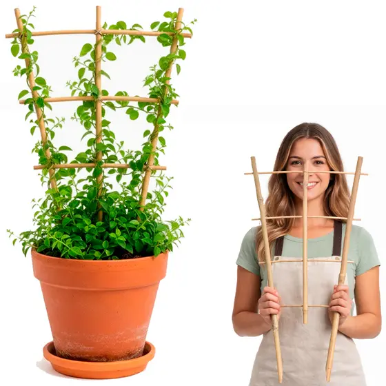 Tutor Bambu Natural 60 75 e 90cm Sustentação Trepadeiras Jardim Treliça Crescimento Plantas Suporte