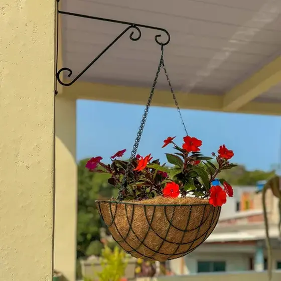 Vaso Pendente Suspenso Fibra De Coco Decorativo Plantas Samambaia Flores