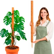 Tutor  Plantas Trepadeiras Fibra Coco 60 80 100 120 150cm Estaca Suporte Natural Vaso Jardim