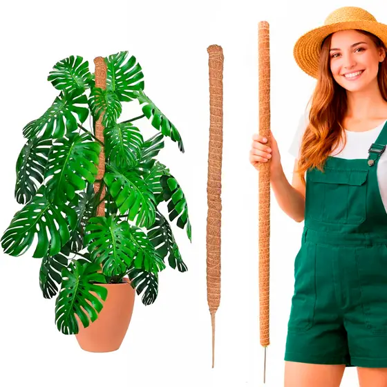 Tutor Fibra de Coco 100cm para Plantas Trepadeiras Suporte para Costela de Adão, Jiboia, Tomate e Plantas Médias