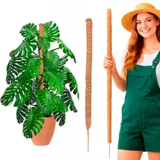 Tutor Fibra de Coco 100cm para Plantas Trepadeiras Suporte para Costela de Adão, Jiboia, Tomate e Plantas Médias