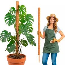 Tutor de Fibra de Coco 150cm para Plantas Trepadeiras Suporte para Jiboia Monstera Filodendro