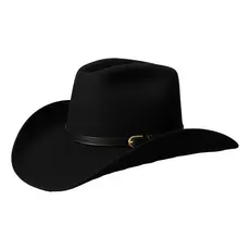 Chapéu Country Cowboy Rodeio Barretos Unissex Sertanejo