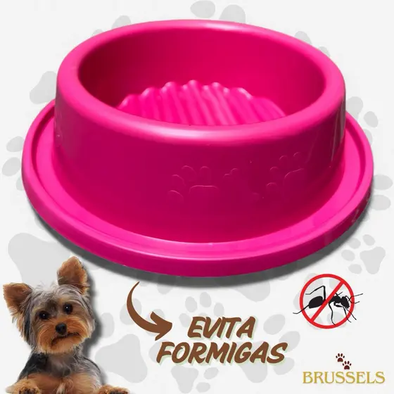 Comedouro Bebedouro Anti Formigas Pet Pote Grande Cachorro Várias Cores