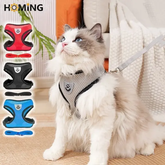 Coleira Peitoral Cães E Gatos Ajustável Com Guia Colete Pet 6kg Com 120cm Cabo de Reboque