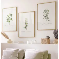 Quadro De Flores Minimalista Com Moldura E Vidro Quadro Decorativo Sala Grande Flores Brancas Trio