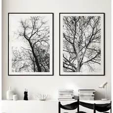 Quadro Natureza Preto E Branco Com Moldura Quadro Decorativo Sala Quadro Quarto Árvores Secas Duo
