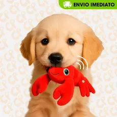 Brinquedo Mordedor Pet Pelúcia Carangueijo Com Apito para Cães e Cachorro
