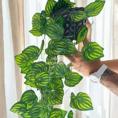 Kit Planta Decorativa: Vasos Trançado + Pendentes Artificial 2M Folhas de Hera Verde