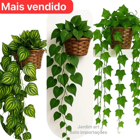 Arranjo c/ 3 Trepadeira Folha de HERA + Vaso Trançado Marrom
