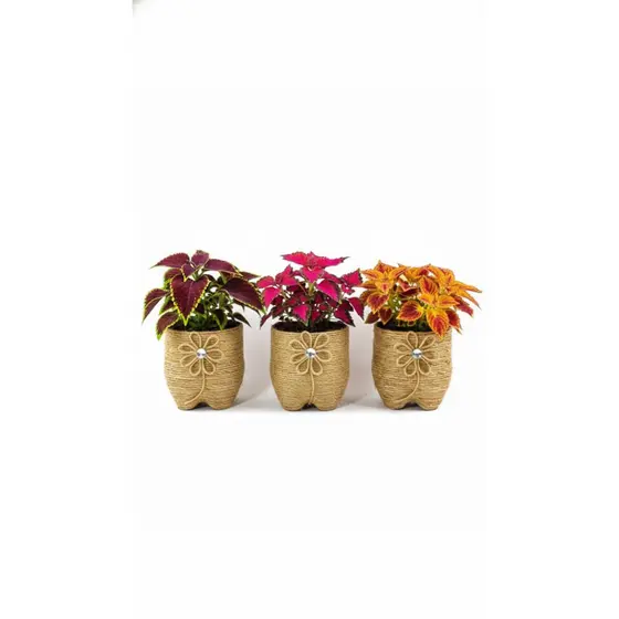 Kit 3 Vasos Decorativos Rústicos para Plantas | Ideal para Suculentas e Cactos