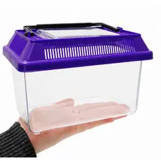 atenção: PEQUENO só 1 litro • 18cm TERRÁRIO MINI TRANSPORTE • maletinha lembrancinha p/ festa