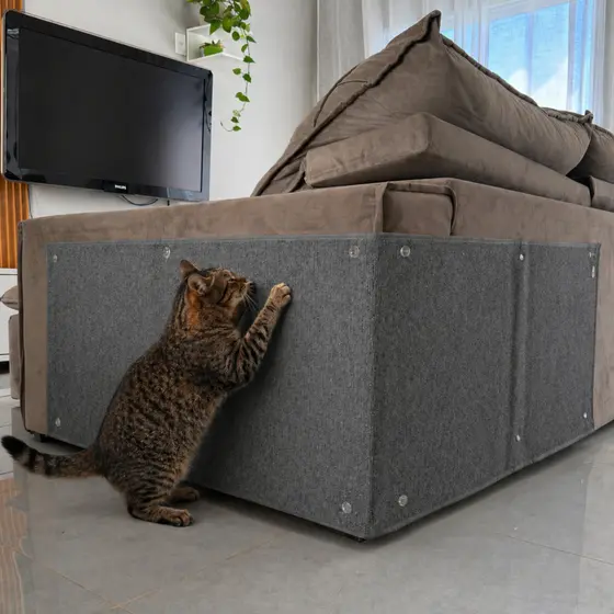 Arranhador Carpete Premium Grande 200x50 para Gato Protetor para Sofá Cama Box