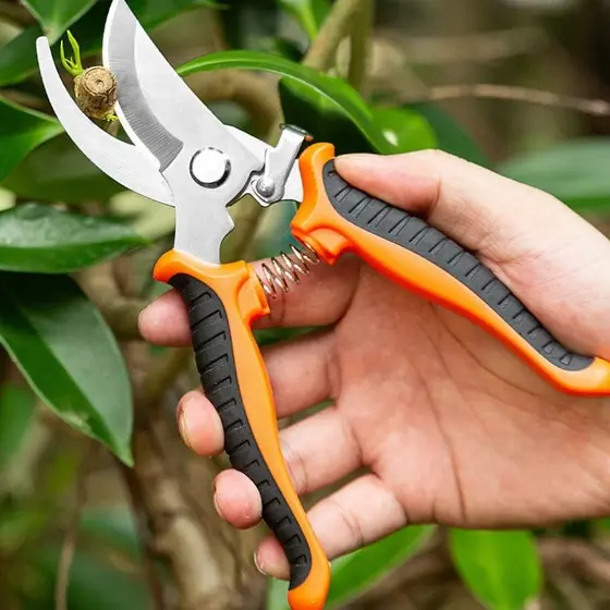 Tesoura De Poda Tesoura Super Afiada Para Jardinagem Profissional Aço Inoxidável Ergonômica Manual
