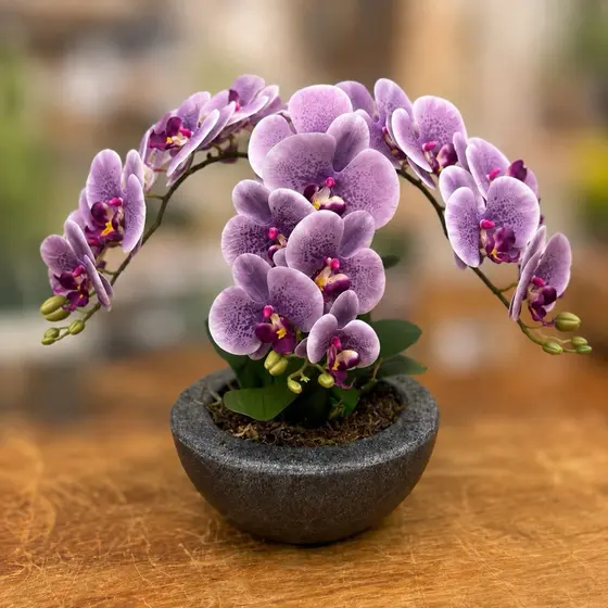 Arranjo Orquídea Silicone Toque Real 3D Vaso Decorativo Montado Centro de Mesa Flor Artificial Lilas