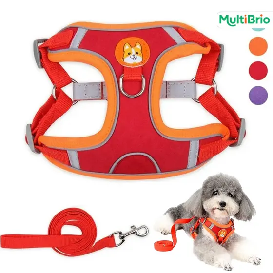 Coleira Estilo Colete + Guia para Passeio – Perfeito para Cães e Gatos de Tamanho Pequeno e Médio
