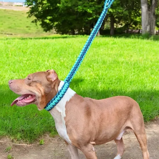 Guia enforcador para cachorros grandes pitbull monster coleira cães médio e grande porte