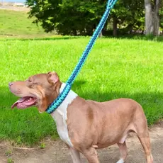 Guia enforcador para cachorros grandes pitbull monster coleira cães médio e grande porte