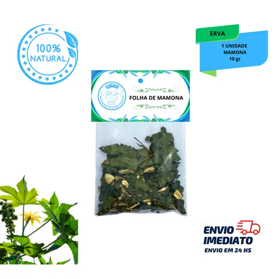 Erva Folha de Mamona 10g Descarrego e Limpeza Espiritual na Umbanda e Candomblé