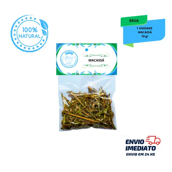 Erva Macassá / Macaça 10g Banho Espiritual Descarrego e Proteção na Umbanda e Candomblé