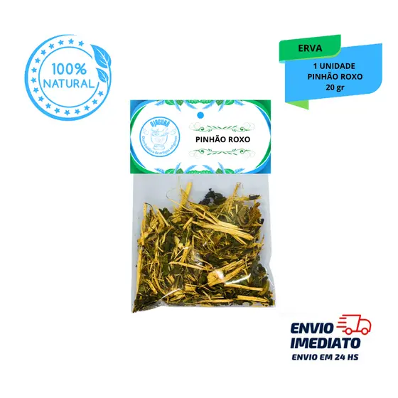 Erva Pinhão Roxo 10g Ervas Naturais