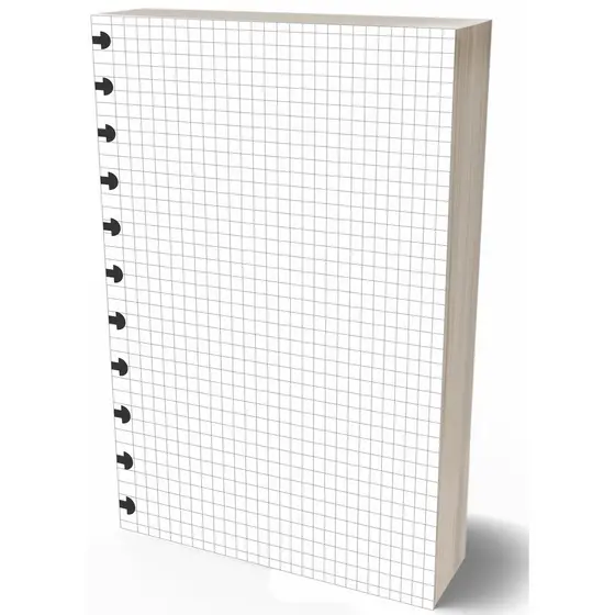 Refil Caderno Discos 90g 100 Folhas Quadriculado Grande 11 Furos