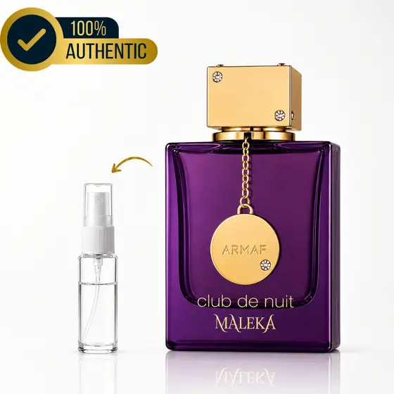 Club De Nuit Maleka Feminino Moderno Marcante