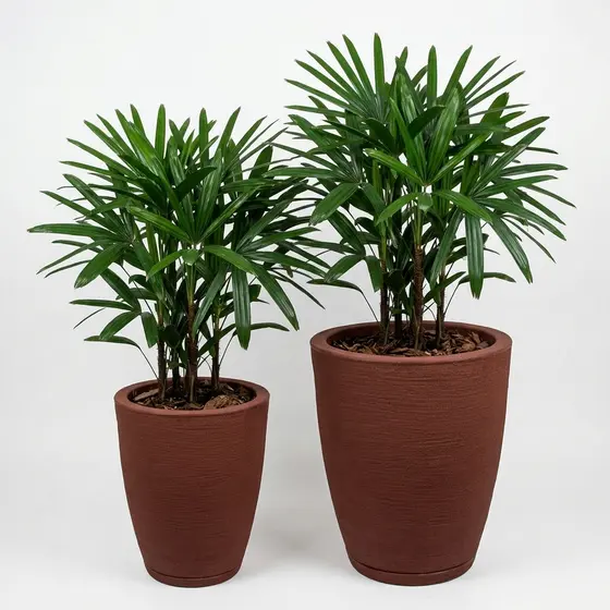Vasos de Plantas Grandes Escovados com Prato Coletor | Polietileno para Jardim e Varanda