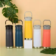 Garrafa Squeeze 650 ml Aço Inox Térmica com Canudo
