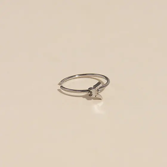 Piercing Argola Borboleta Prateado -