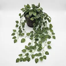 Planta Artificial Pendente Decorativa Com Vaso Vime Montado