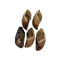 Mordedor Natural Artesanal Casco Bovino Opaparico - Kit de 5un