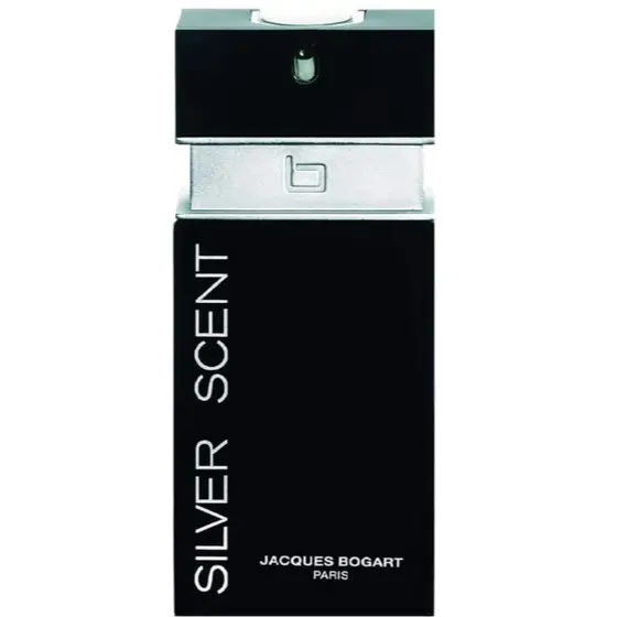 Perfume Silver Scent Masculino EDT Original Lacrado Importado 100ml
