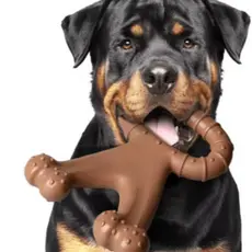 Brinquedo de Mastigar para Cachorro - Limpeza Dental, Moagem Natural e Treinamento Inteligente