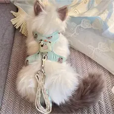 Desenho Ursinho Com Guia Para Cães cachorro e gatos Coleira peitoral Colorida