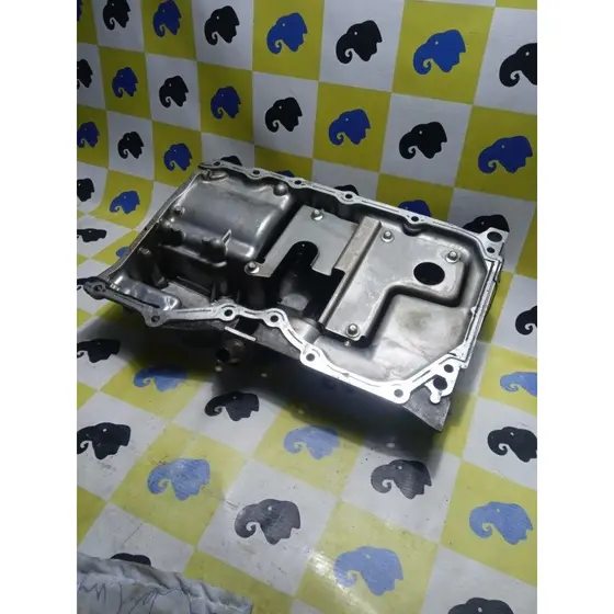 Carter Oleo Motor Ecosport 2.0 16v Duratec 2009-2013